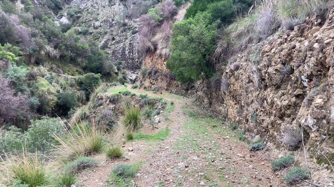 Hiking Trail in a Rocky Mountain Landscape