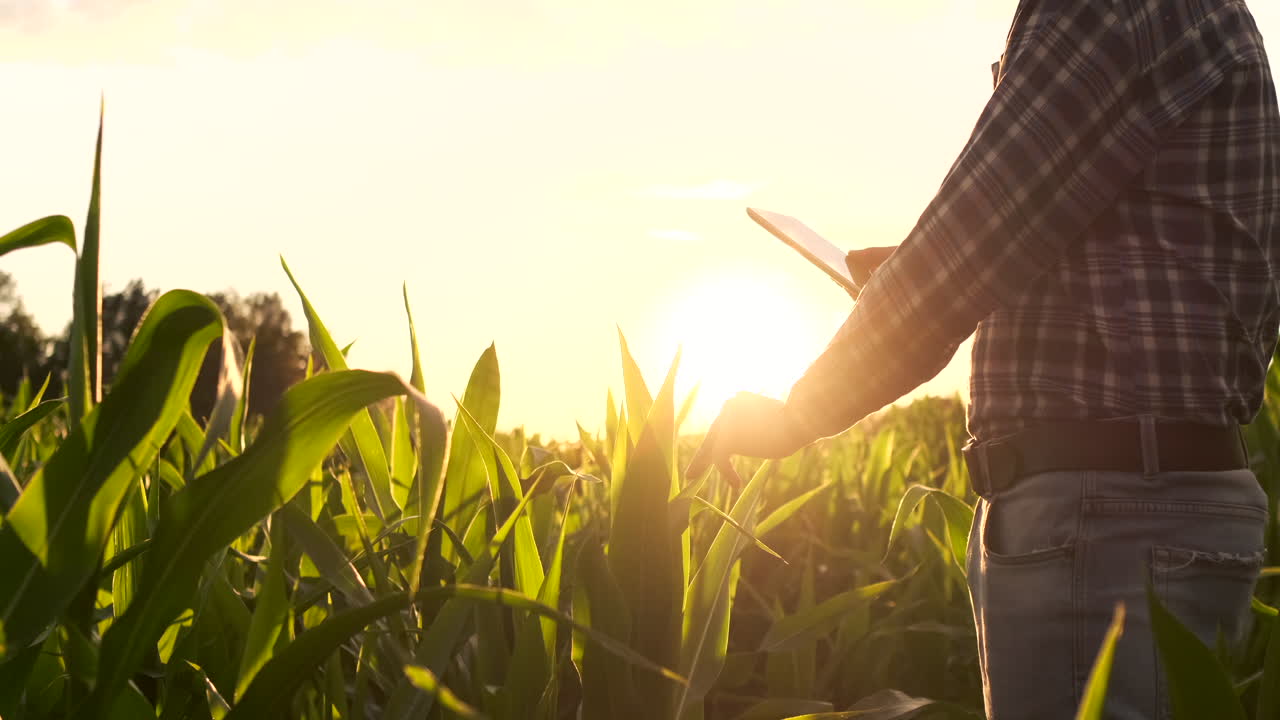agrónomo con tablet en un campo vacío al atardecer hombre serio y confiado que utiliza la tecnología moderna en la planificación y preparación de la producción agrícola