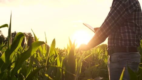 Farmer-agronomist-with-tablet-computer-in-bare-empty-field-in-sunset-serious-confident-man-using-modern-technology-in-agricultural-production-planning-and-preparation