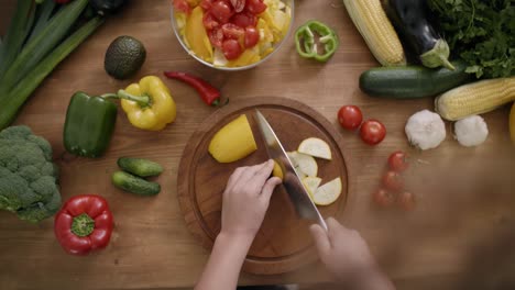 Handheld-view-of-zucchini-cut-into-slices/Rzeszow/Poland