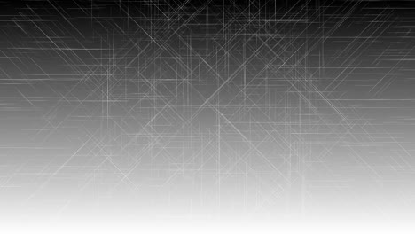 abstract square background white line animation moving slow on white background. 4k art concept.