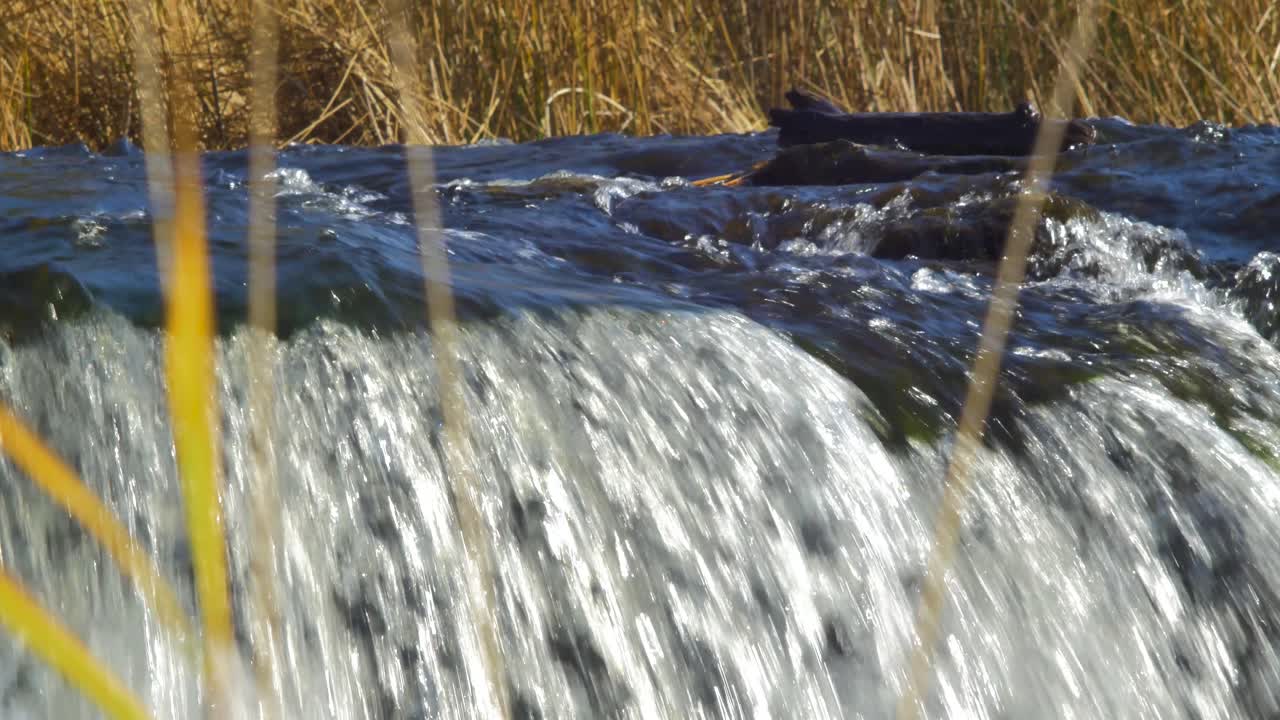 venta river rapid close up, la cascada más ancha de europa en un día soleado de otoño, ubicada en la ciudad de kuldiga, letonia