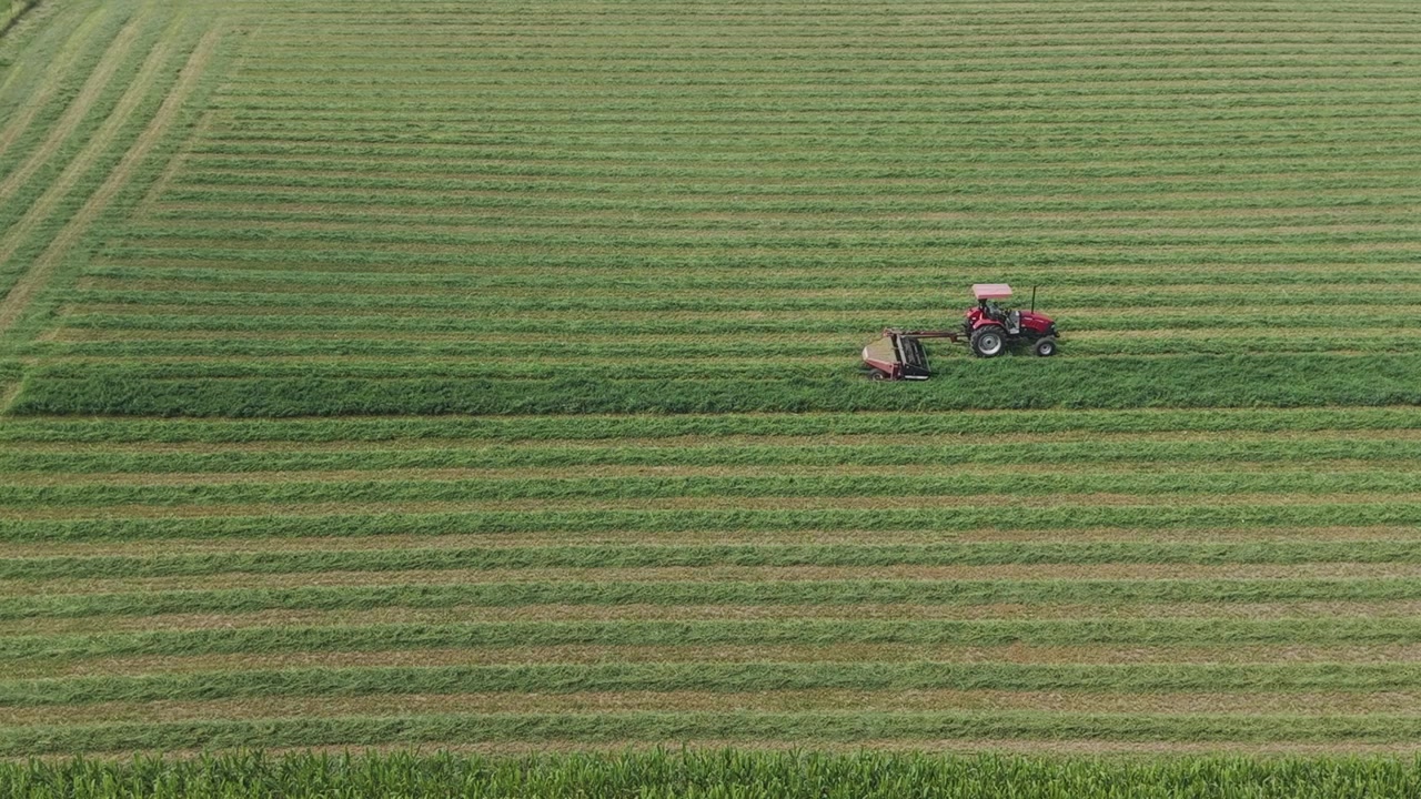 Un agricoltore taglia un campo di fieno nel Wisconsin nord-orientale utilizzando un disco rotante trainato