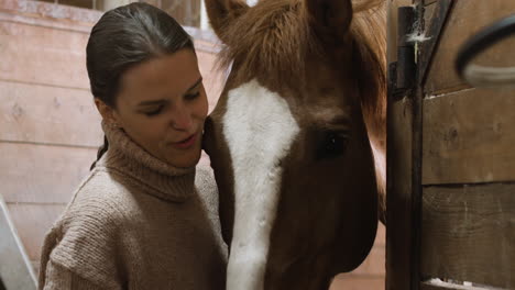 uma garota com uma trança acariciando um cavalo marrom