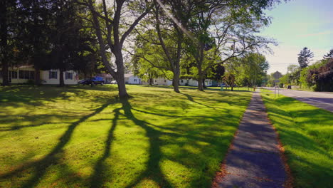 suburban american neighbourhood