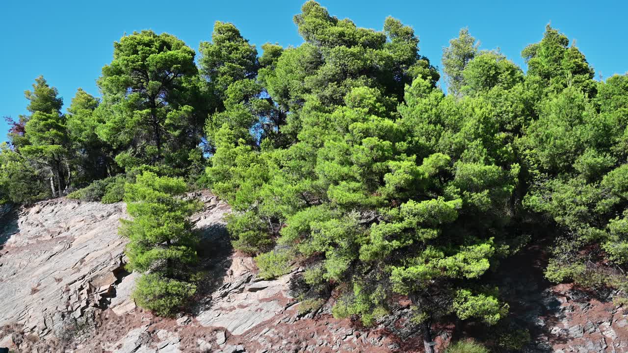 Pendio roccioso con alberi verdi in crescita in Grecia. Effetto zoom in, slow motion
