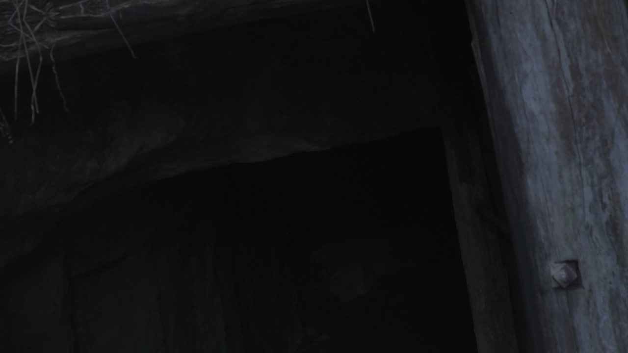 Explore the mysterious entrance of a mining tunnel at Warrandyte Park during evening twilight. The dim light casts dramatic shadows and highlights rustic wooden beams. No people present.