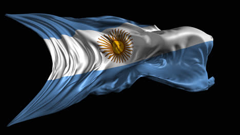 argentine flag in motion