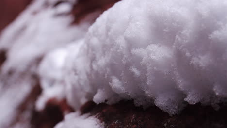 snow sits on canyon rocks in zion national park