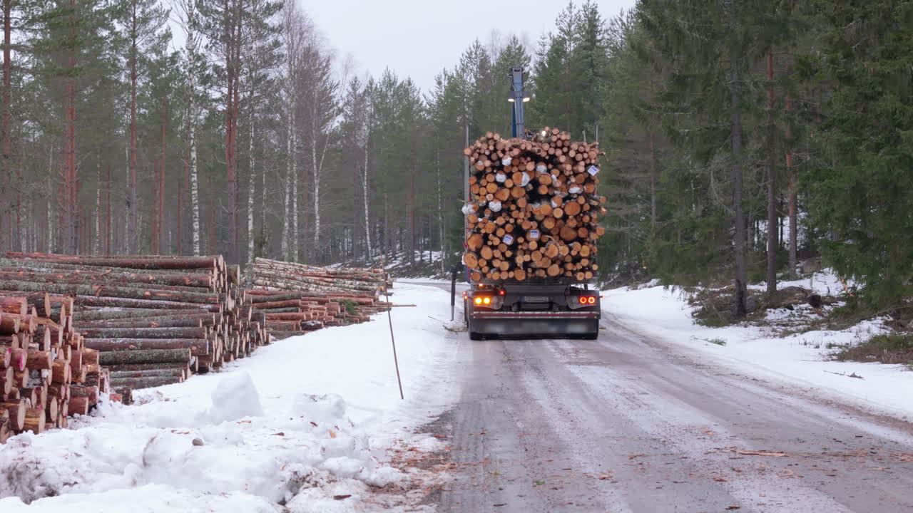 un carguero de grapa carga troncos de madera cosechados en un remolque en un bosque nevado