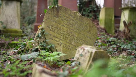 gravestones covered in moss in a forest graveyard on a cloudy day