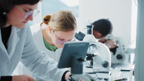 students working in a laboratory