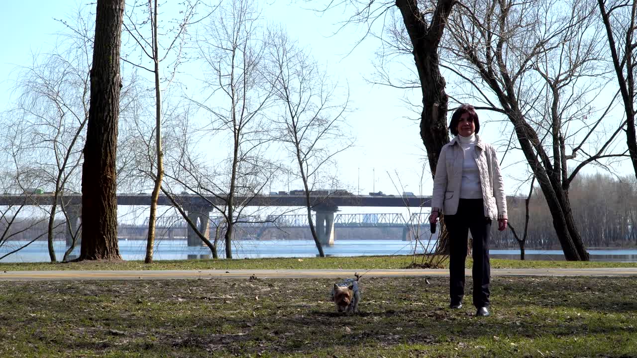 Adult woman walks in spring park with yorkshire terrier