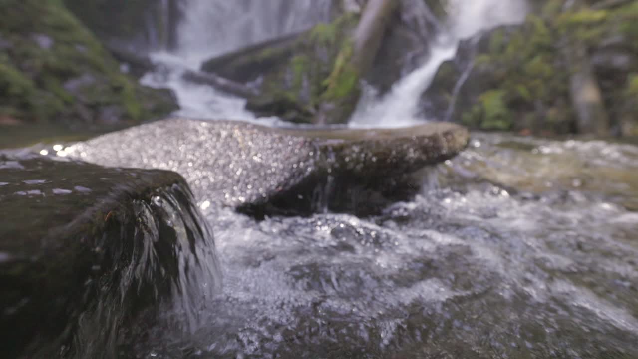 hermosa cascada en el sur de oregón cascadas enmarcadas por musgo verde y vegetación, cascadas de arroyo nacional
