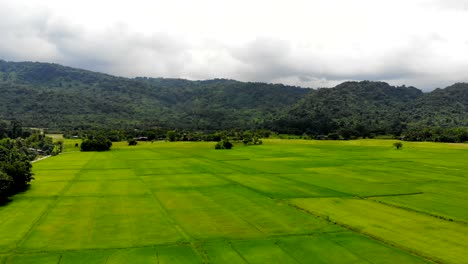 vista aérea tomada por un avión no tripulado paisaje panorámico de una granja agrícola en un campo seco