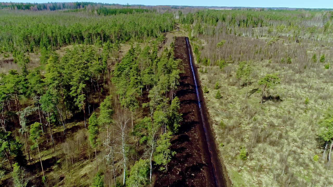 숲을 통해 물을 흐르게 하기 위해 만들어진 참호 위의 공중 드론 보기