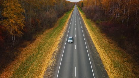autumn road through the forest