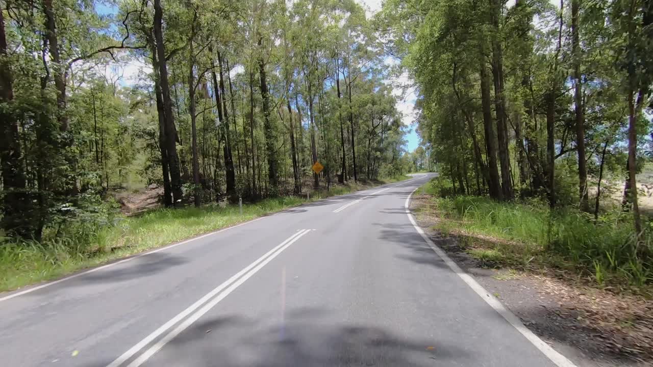Bagsiderettet kørsels-POV fra en øde landevej i Queensland med høje skyggefulde træer – ideel til green screen-udskiftning af bilinteriør