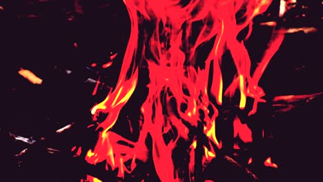 fuego bajo luz infrarroja de fondo
