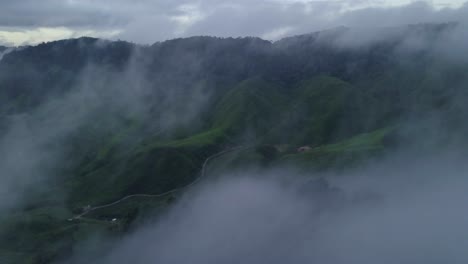 Antena:-Campos-De-Té-En-Cameron-Highlands