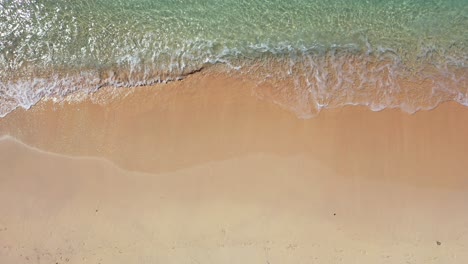 Peaceful-shore-with-calm-clear-sea-water-washing-soft-fine-sand-of-exotic-beach-under-sunlight-of-morning,-Bermuda