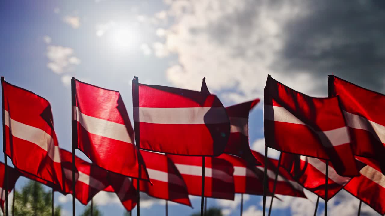 Latvian flags wave in slow motion with cloudy sky backdrop on national celebration, backlit glow on windy day