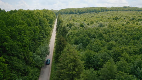 blue car driving on the forest road. aerial view of modern automobile on the road in forest.