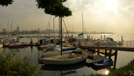 sailboats docked in the harbor with the sunset reflecting off the surface of the still ocean waters - sliding view