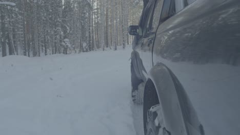 winter drive in snowy forest