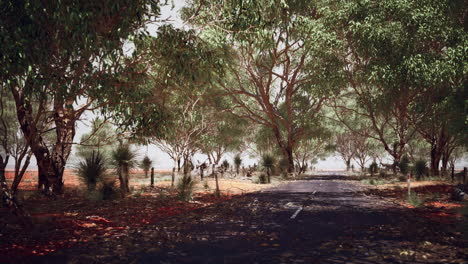 Offene-Straße-In-Australien-Mit-Buschbäumen