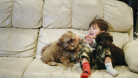 Asian-Kid-of-two-years-plays-with-a-puppy,-laughs-and-has-a-good-time-with-his-pet