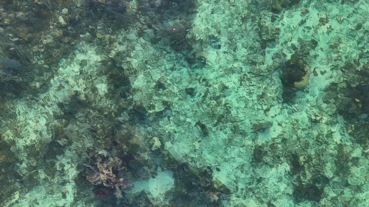 Aerial view of a coastal coral reef