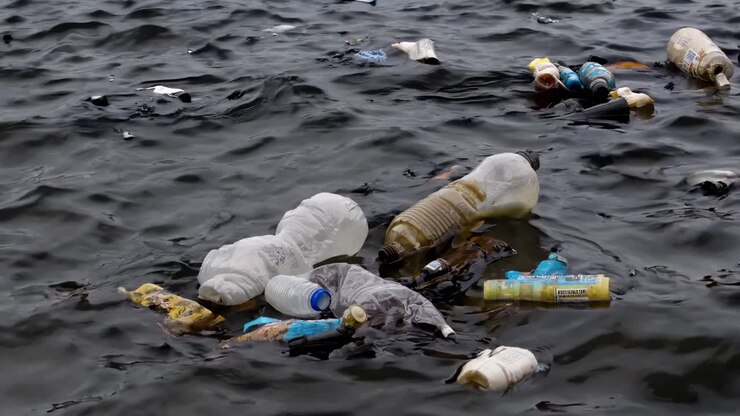 Plastic Pollution in the Ocean