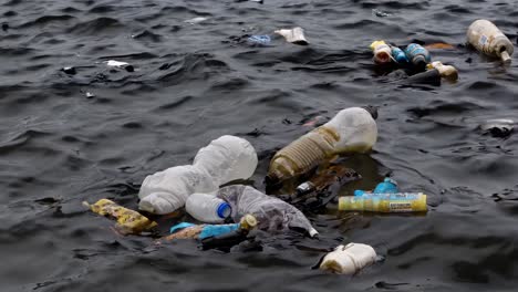 contaminación plástica en el océano
