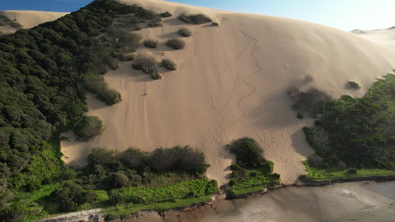 dunas de arena de ahipara, ubicación remota del paisaje desértico, playa de 90 millas, nueva zelanda