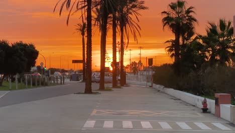 Palmeras-Solitarias-En-El-Mar-Y-Espectacular-Puesta-De-Sol-En-El-Estacionamiento-Vacío-De-La-Playa,-Camino-Marginal,-Carcavelos