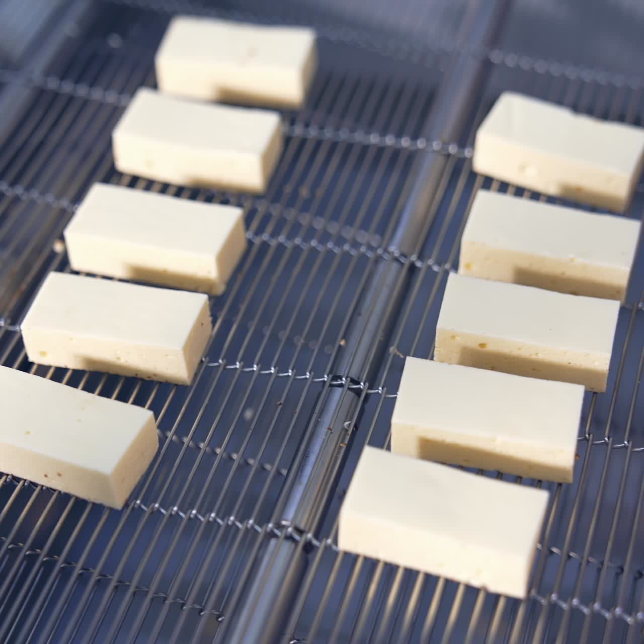 Blocks of Tofu on a Conveyor Belt