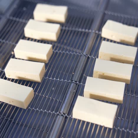 blocks of tofu on a conveyor belt