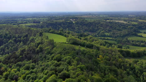 Aerial-panning-over-Ashford-Hangers-Nature-Reserve-Sunny-day-UK-4K