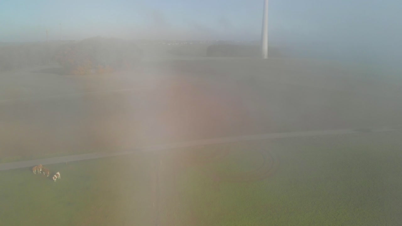 안개와 소가 있는 아침 동안 풍력 터빈을 보여주는 룩셈부르크의 시골 지역의 공중 촬영을 공개합니다.