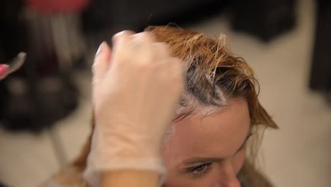 hands of a hairdresser who puts hair dye on the client by using paintbrush. hands of a hairdresser who puts hair dye on the client by using paintbrush. high quality footage