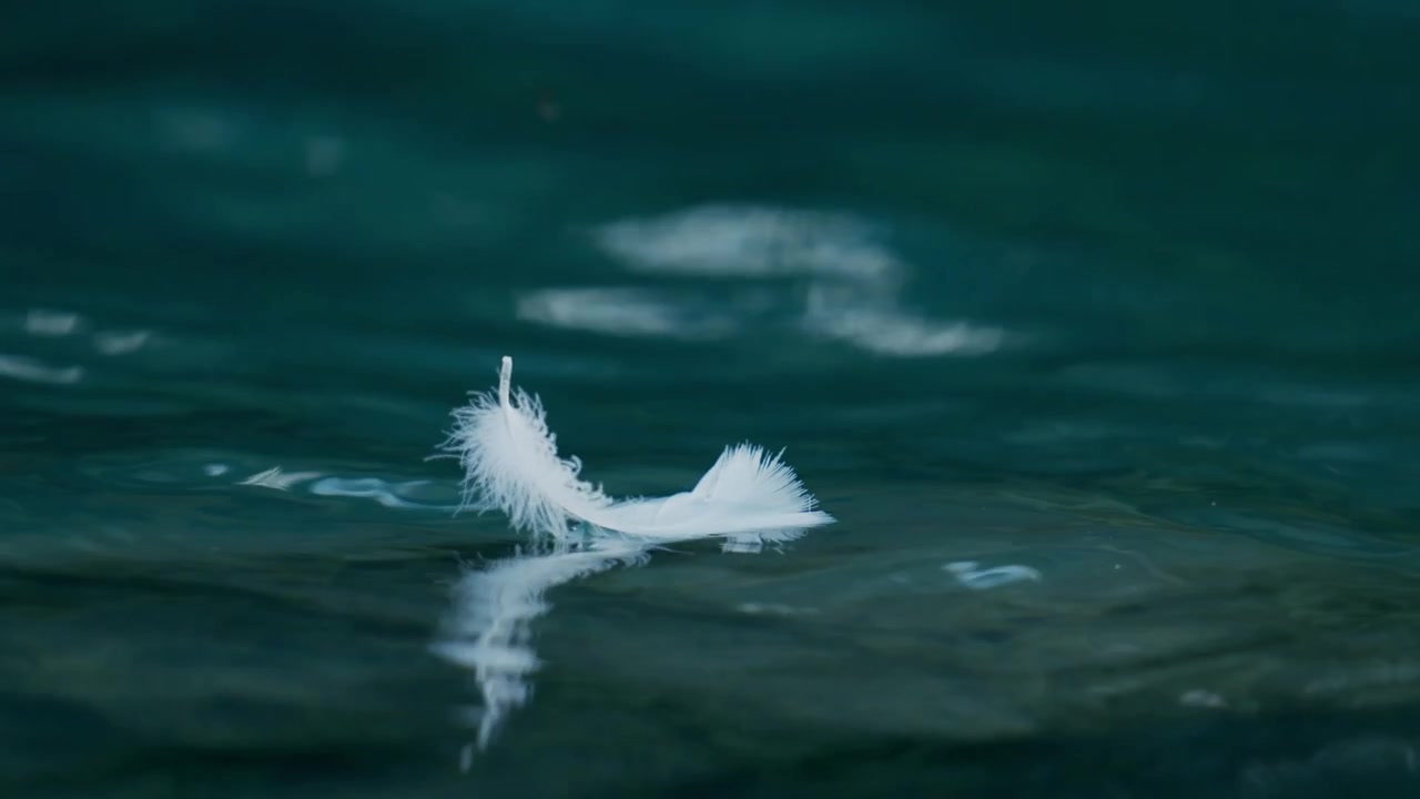 Close-up van een witte veer die over kalm water drijft, voor meditatie, ontspanning en een poëtisch cinematografisch beeld.