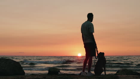 man and dog silhouette on beach at sunset