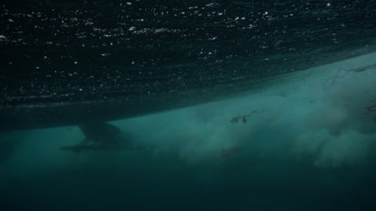 수중 촬영 4k 파도 속보 암초 pointbreak 서핑