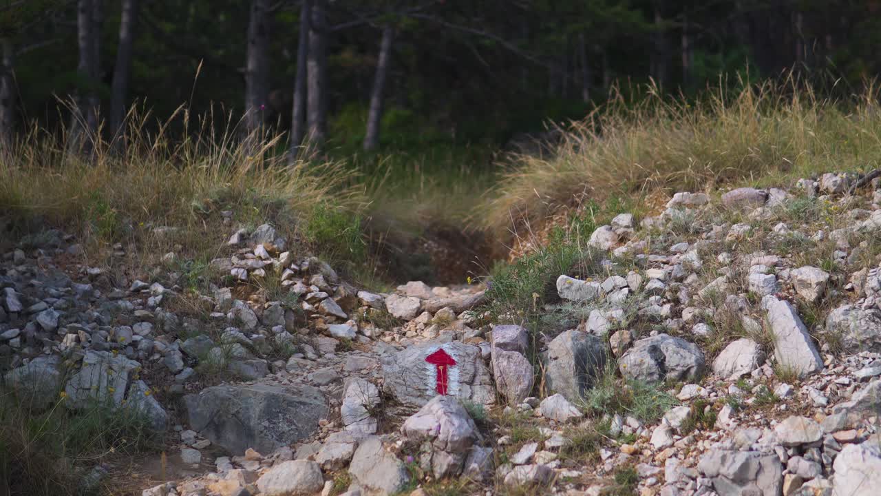 Hand painted red arrow on a rock on a foot trail surrounded by grass blowing in the wind leading in to the forest
