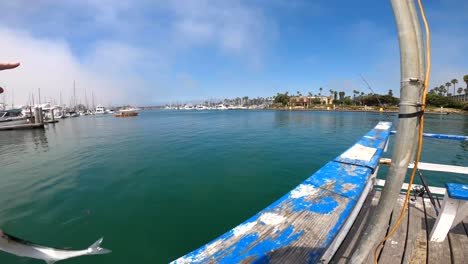 Fishing-in-Channel-Islands-Harbor-in-Channel-Islands,-California