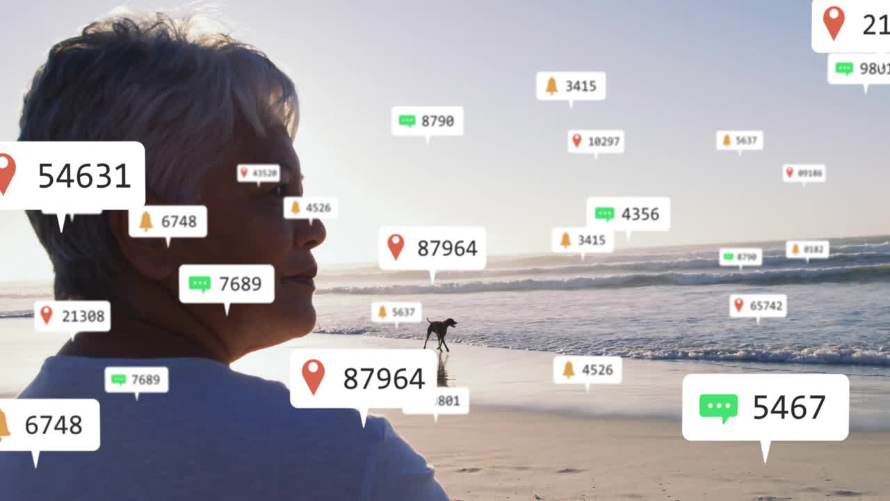 Woman gazing at ocean beach at sunset, showcasing marketing notification icons near running dog