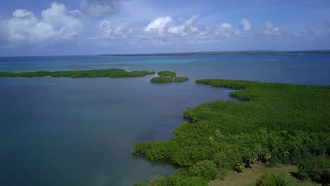 Vista-Aérea-De-Una-Bahía-Verde-Con-Gente-En-Kayak