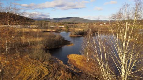 Autumn-trees-and-bushes-with-falling-leaves-on-the-shore-of-one-of-the-arms-of-Kröderfjorden,-Norway