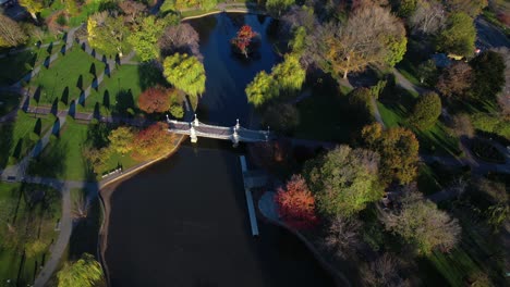 rising aerial view above boston public garden bridge surrounded by autumnal park trees and foliage